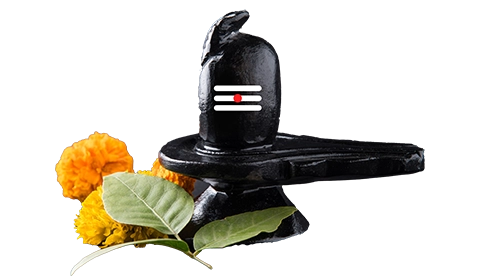 Vishnu Yagya